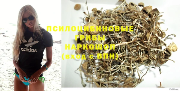 крисы Ветлуга