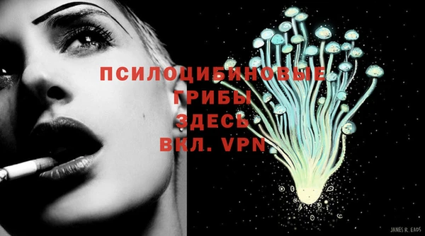 тгк Абдулино