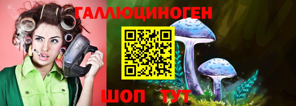 Моршанск  Псилоцибиновые грибы ЛСД  Вход с VPN 